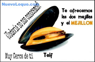 NuevoLoquo0