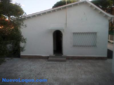 NuevoLoquo2