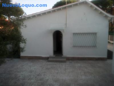 NuevoLoquo0