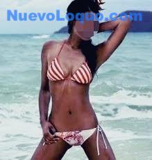 NuevoLoquo2