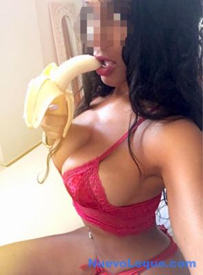 NuevoLoquo2