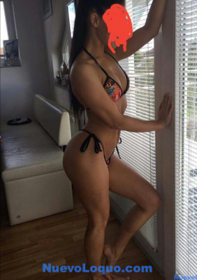 NuevoLoquo3