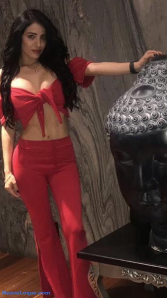 NuevoLoquo3