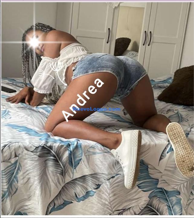 NuevoLoquo1