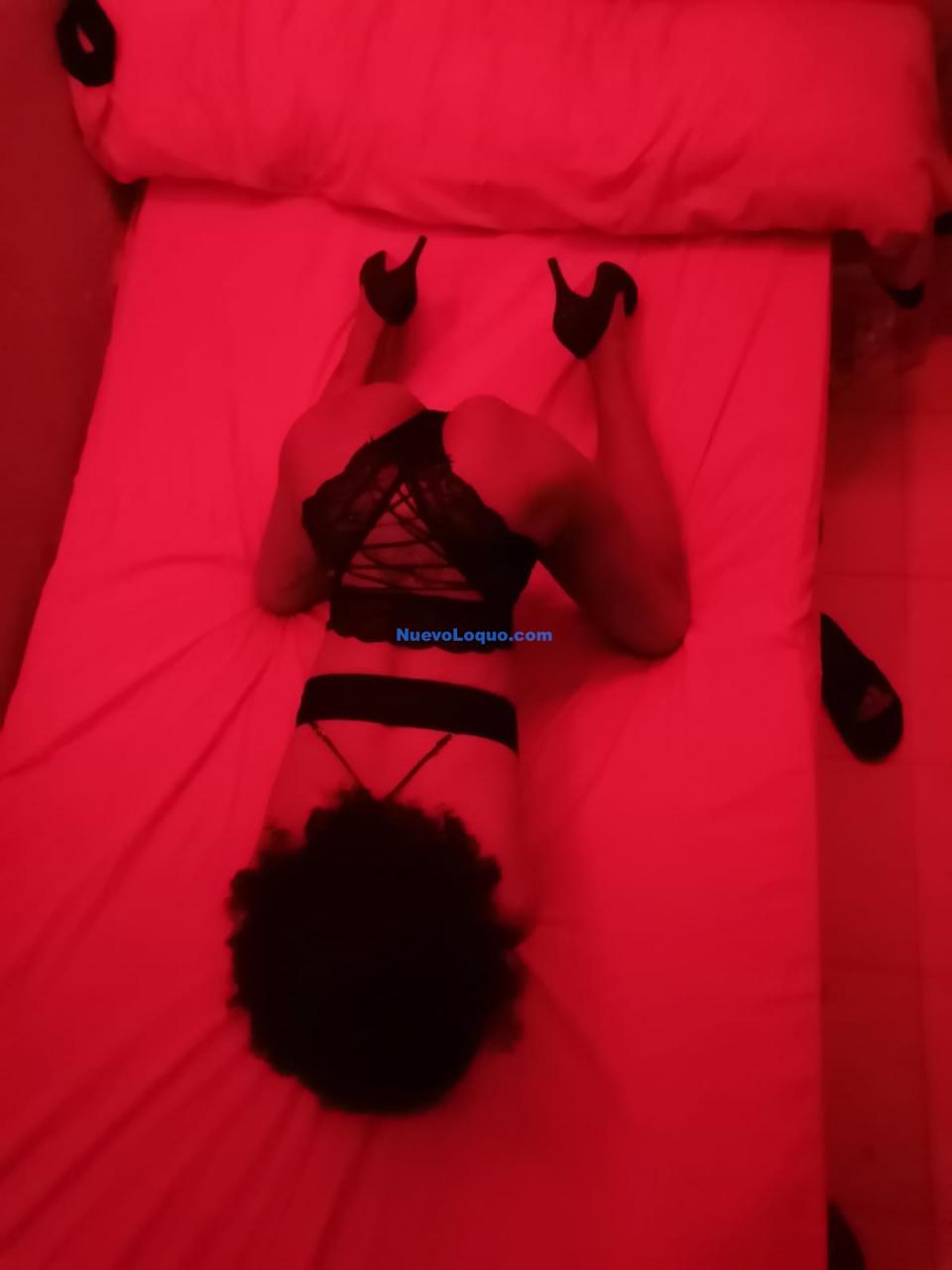 NuevoLoquo1
