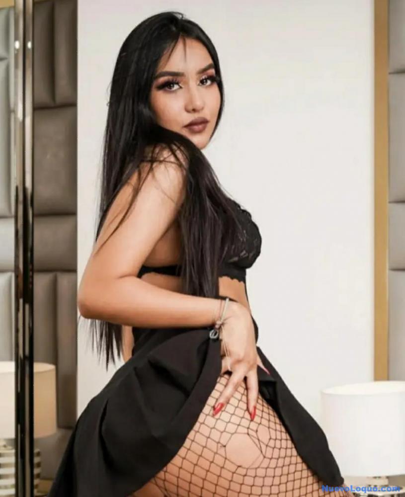 NuevoLoquo5