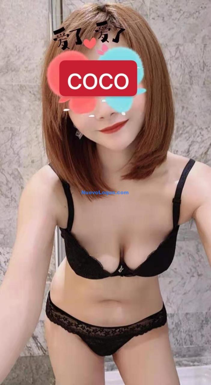 NuevoLoquo3