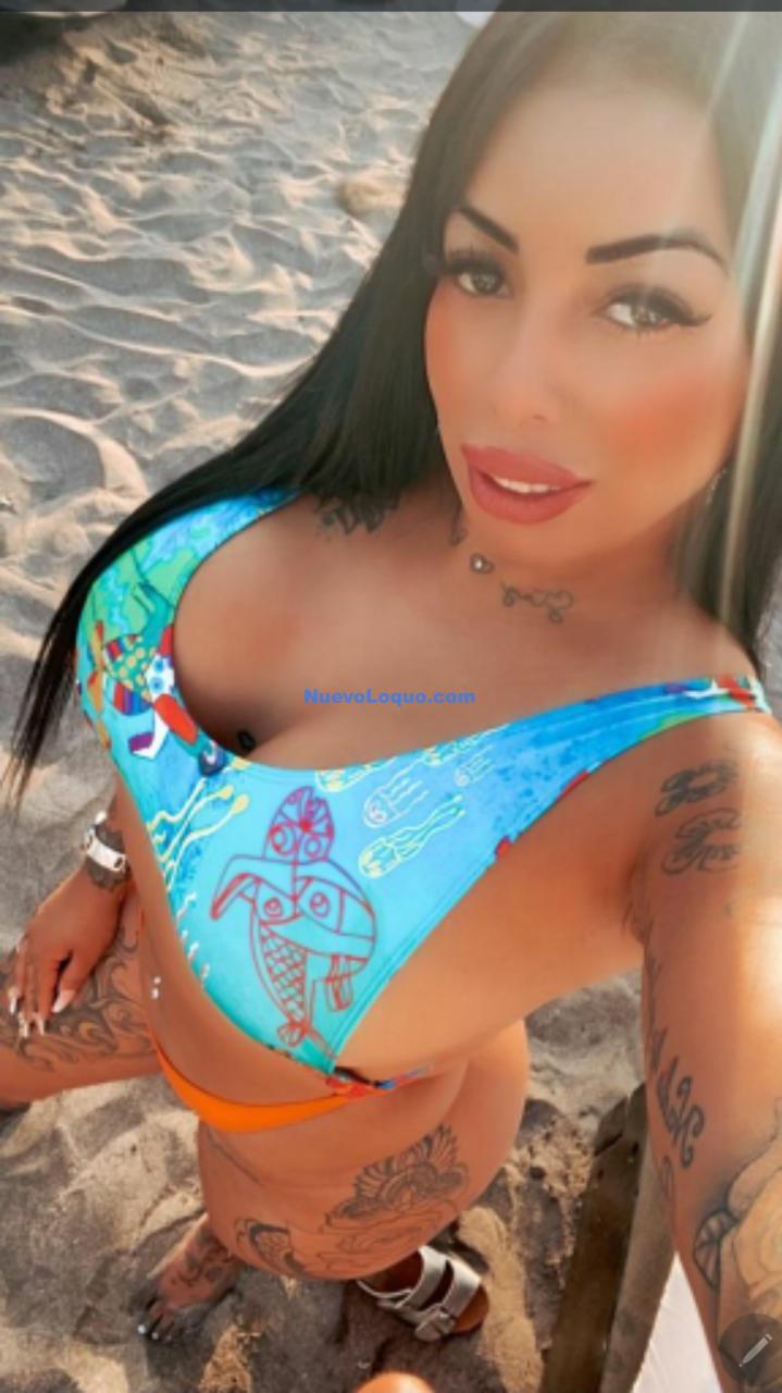 NuevoLoquo4