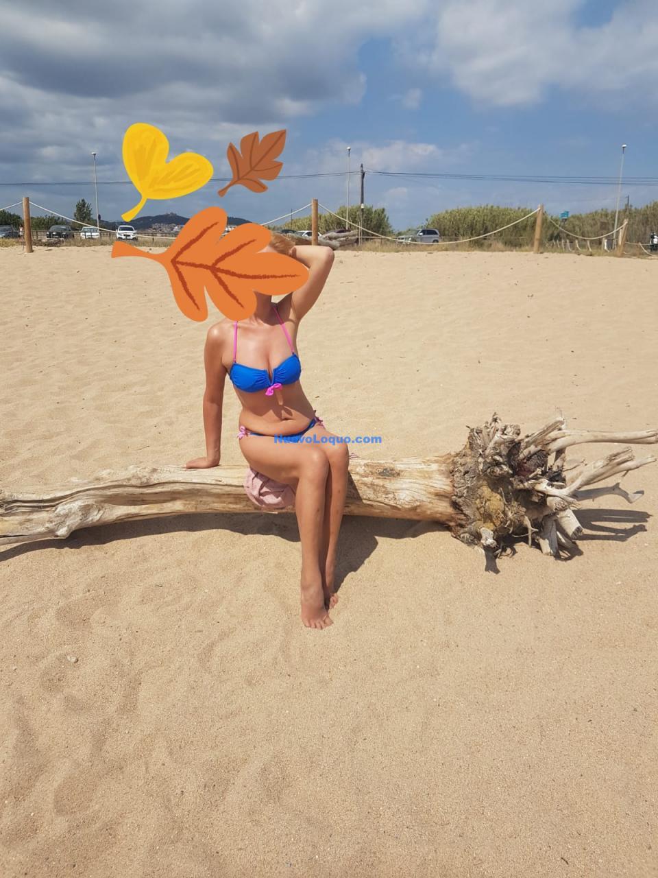 NuevoLoquo1