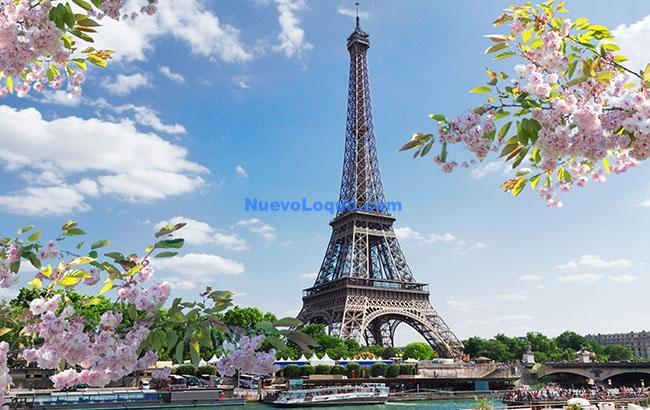 NuevoLoquo0