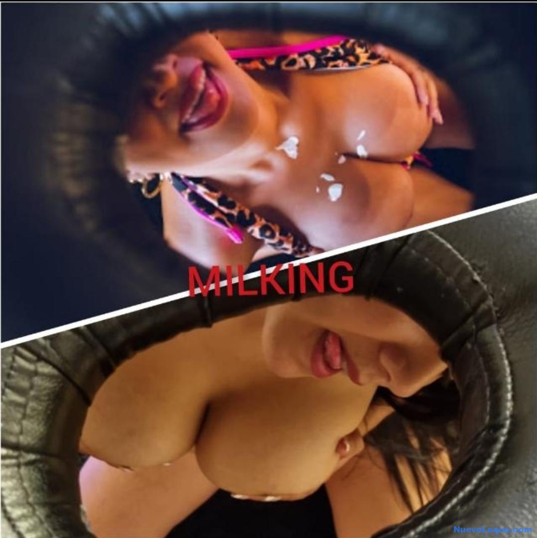 NuevoLoquo3