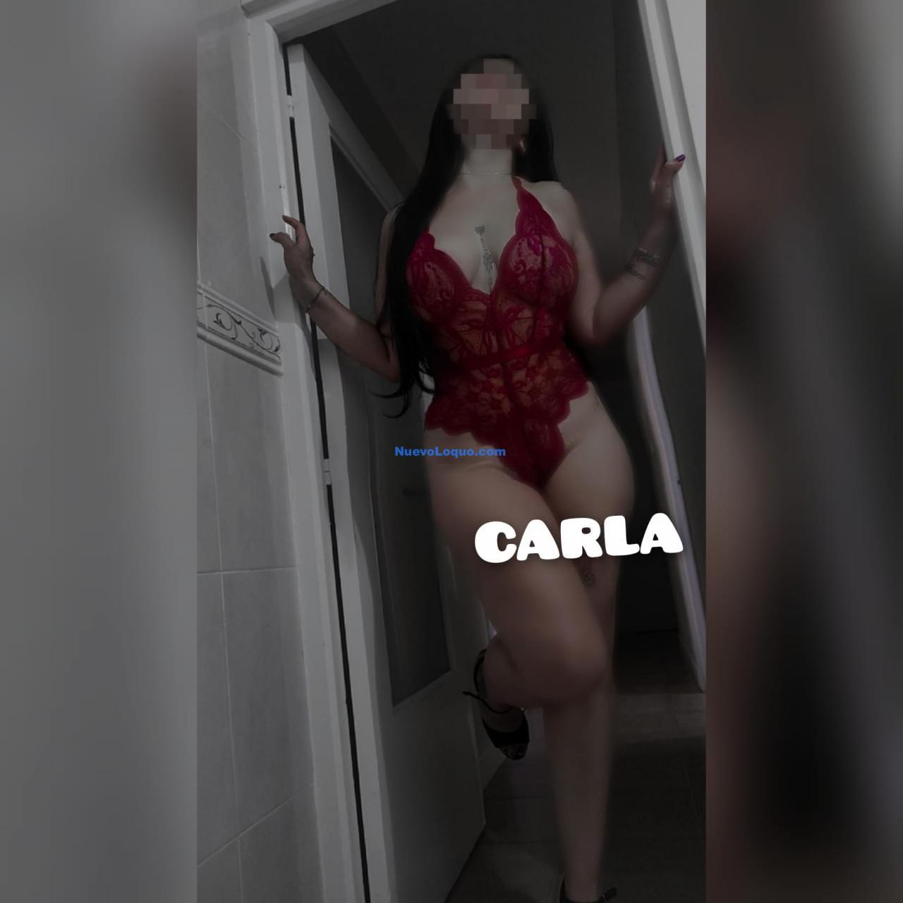 NuevoLoquo2