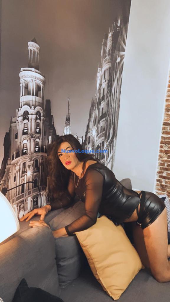 NuevoLoquo1