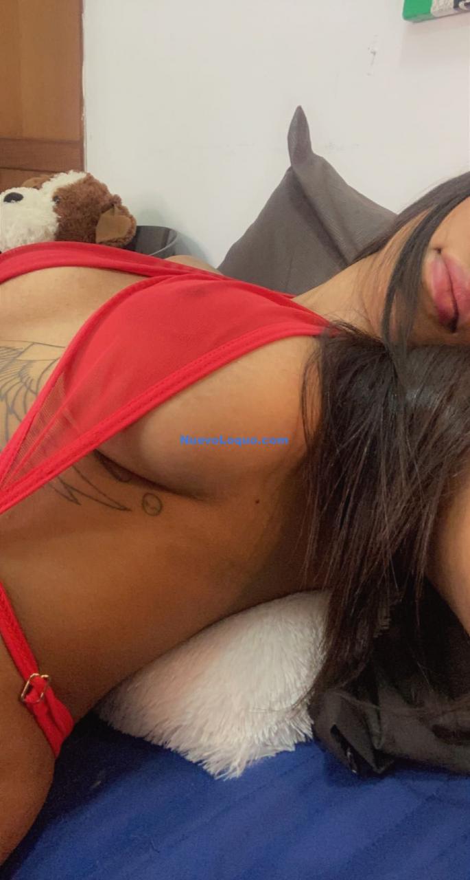 NuevoLoquo2