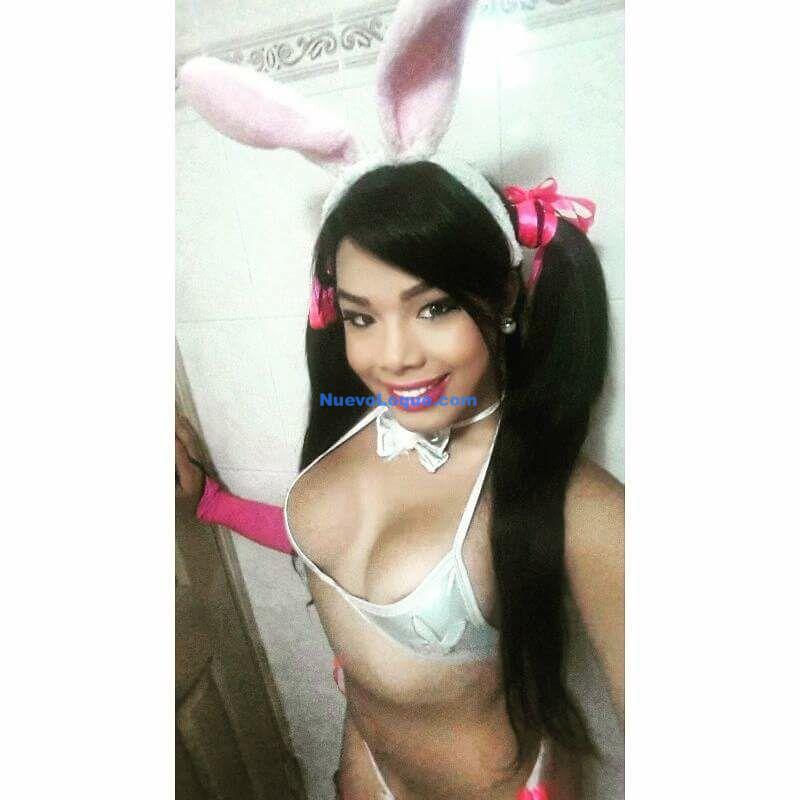 NuevoLoquo3
