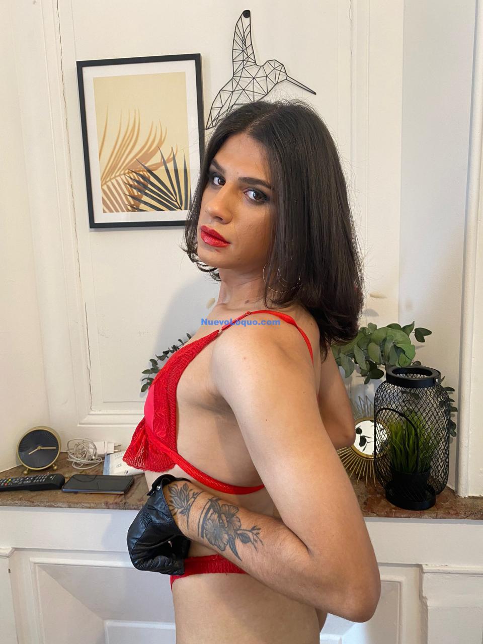 NuevoLoquo2