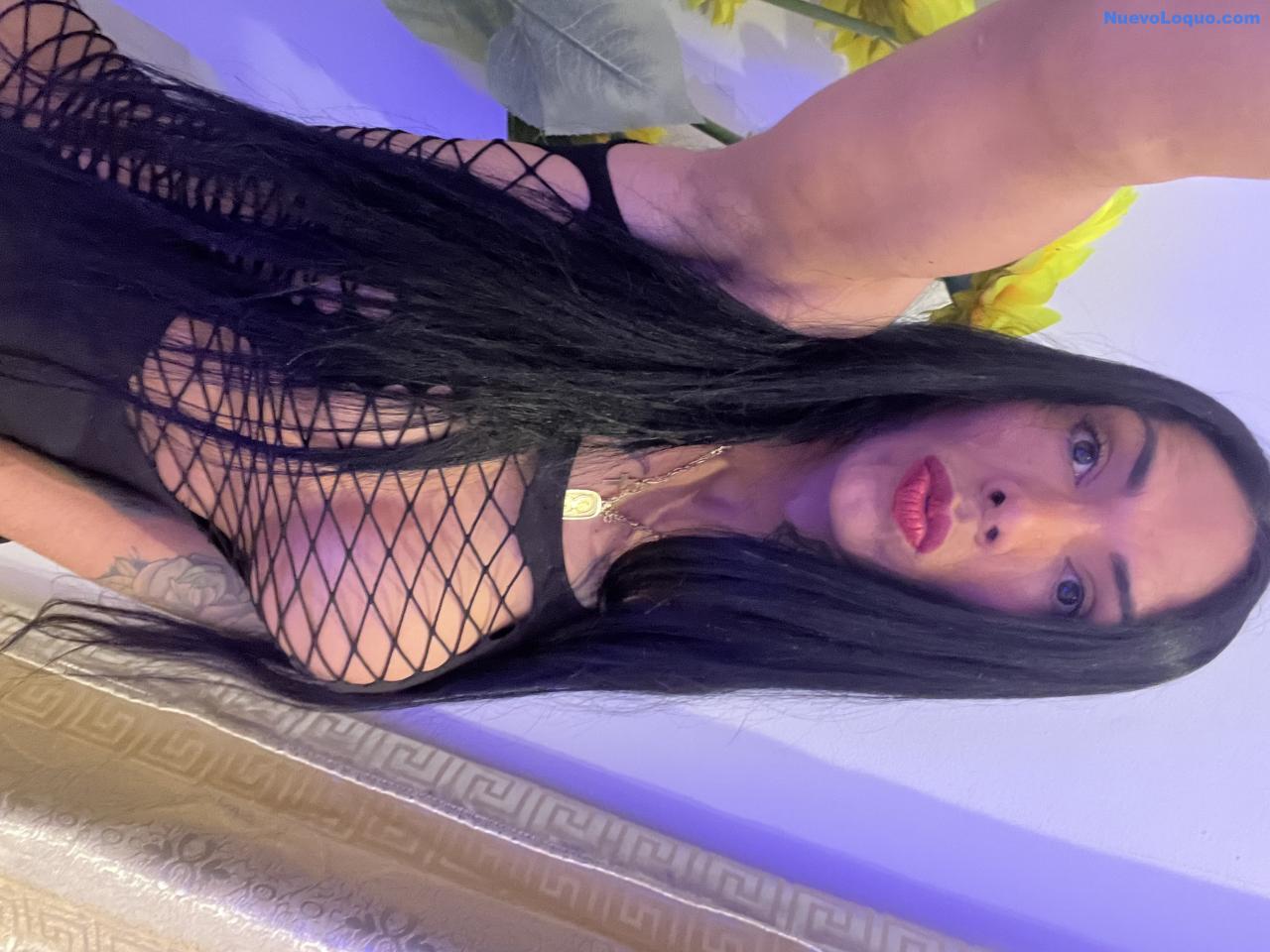 NuevoLoquo3