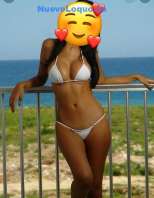 NuevoLoquo2
