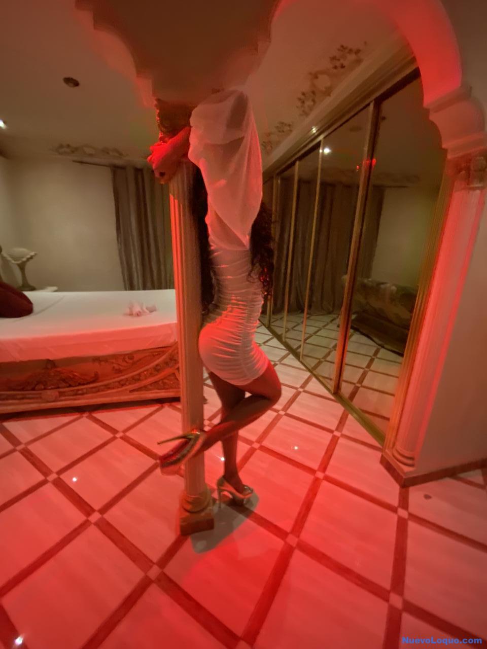 NuevoLoquo2
