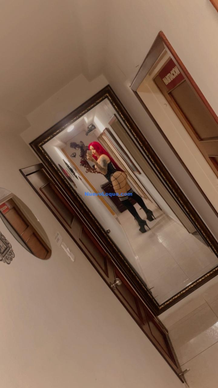 NuevoLoquo4