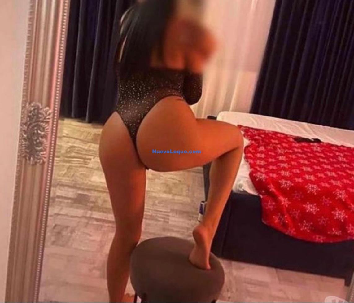 NuevoLoquo3