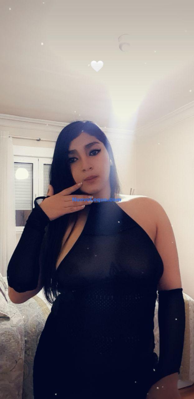 NuevoLoquo3