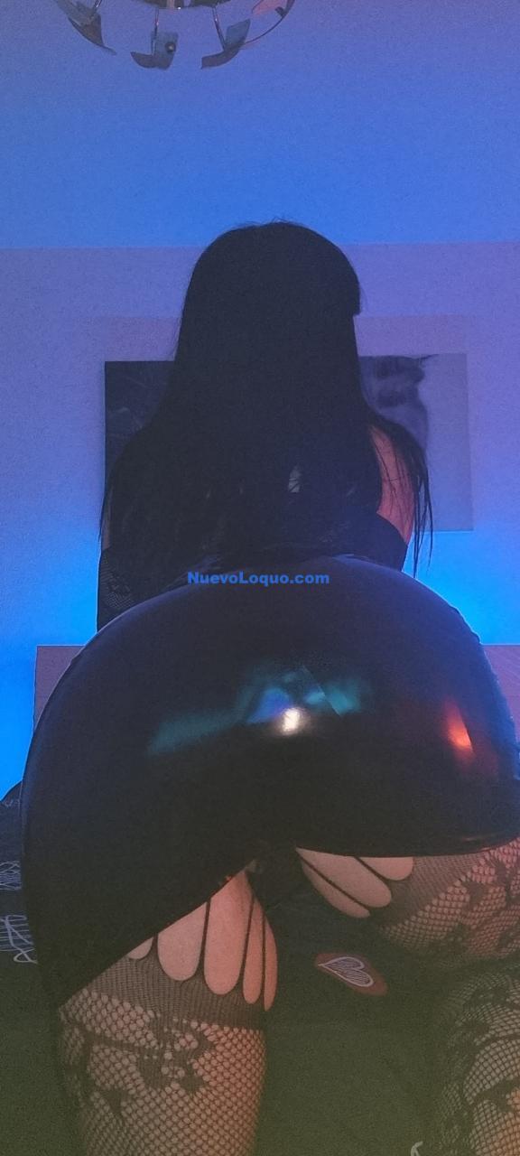 NuevoLoquo3