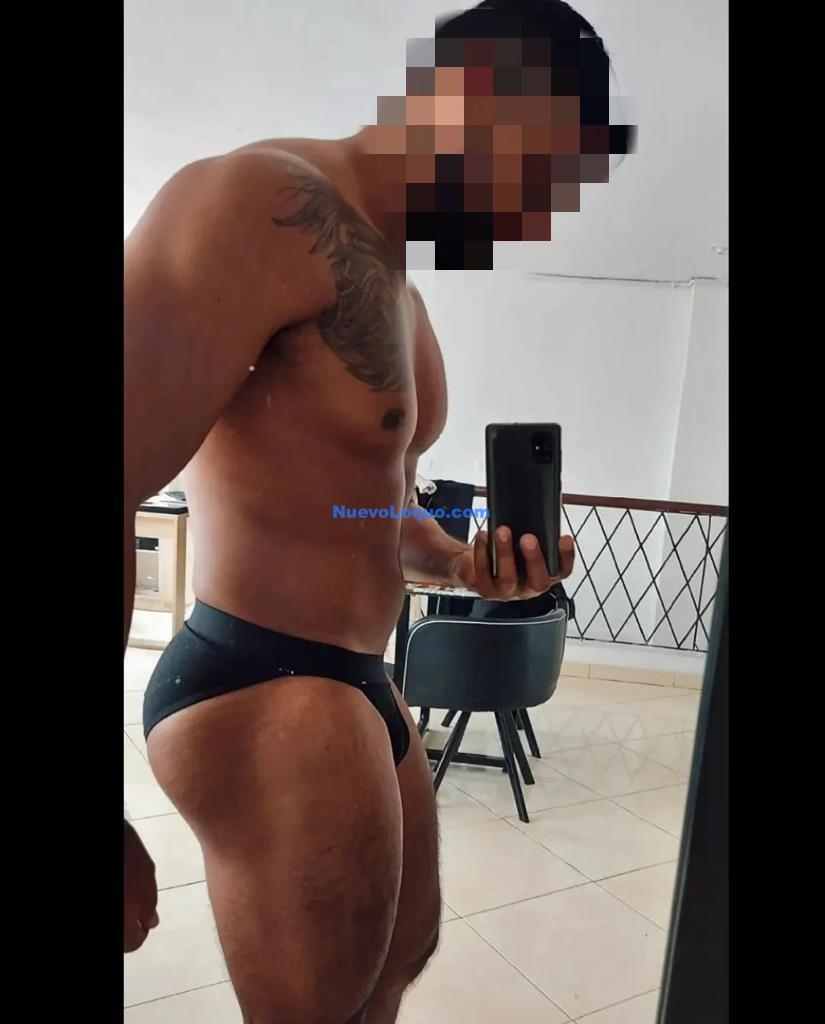 NuevoLoquo3