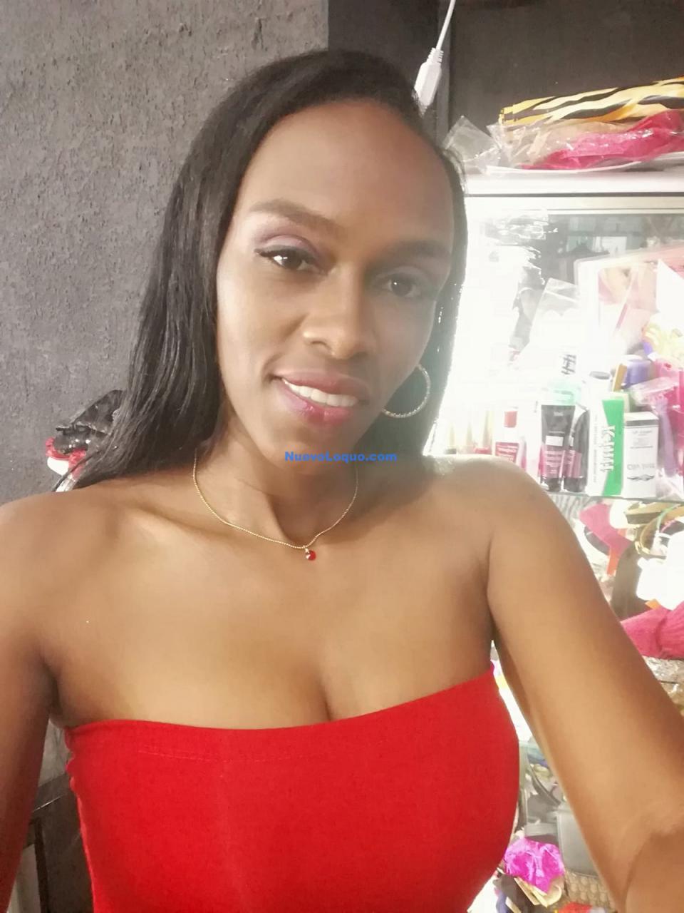 NuevoLoquo3