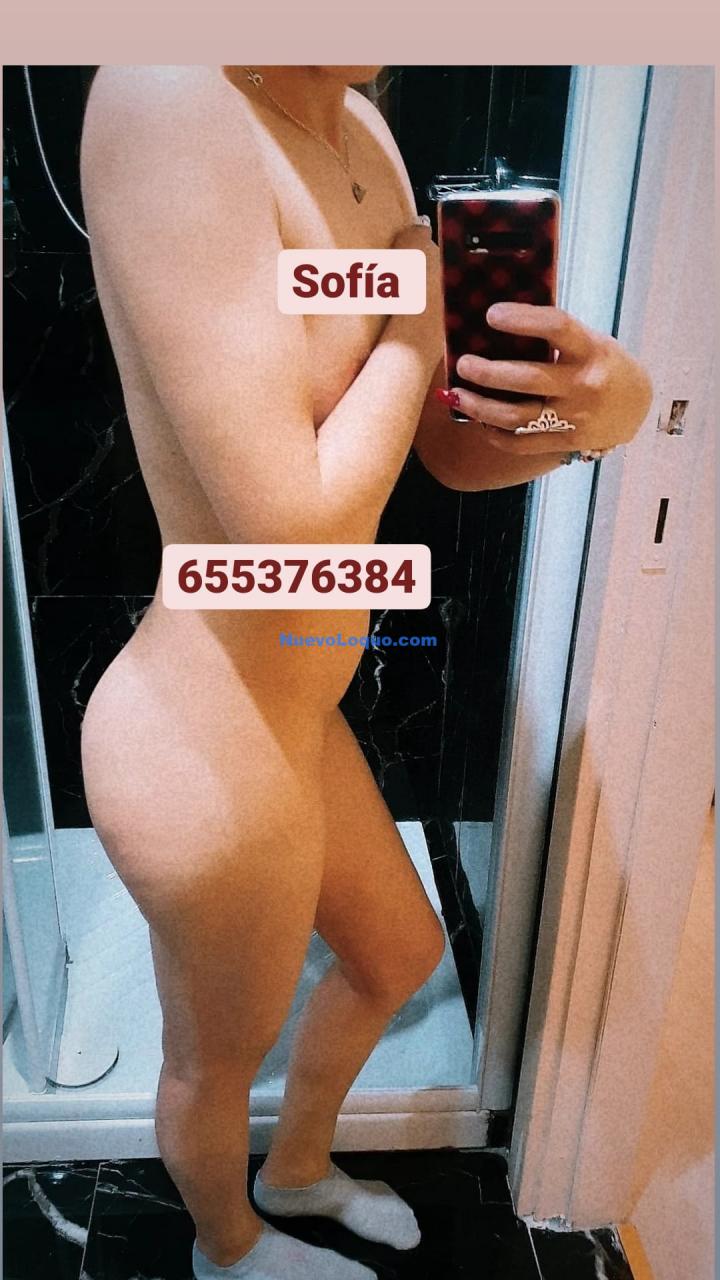 NuevoLoquo3