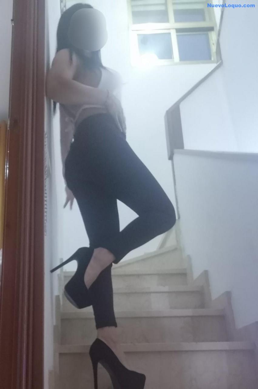 NuevoLoquo5
