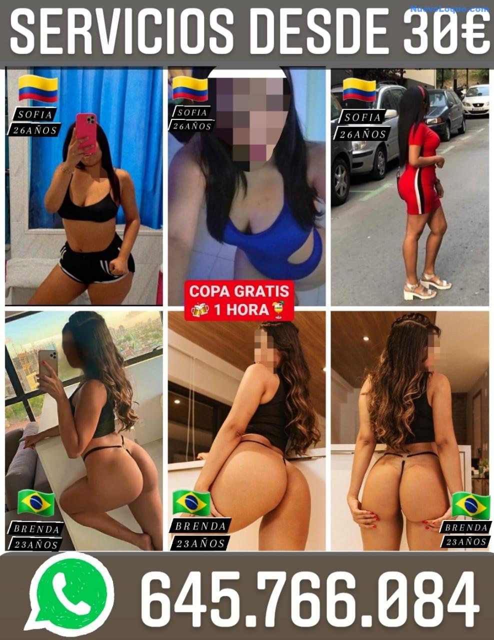 NuevoLoquo0