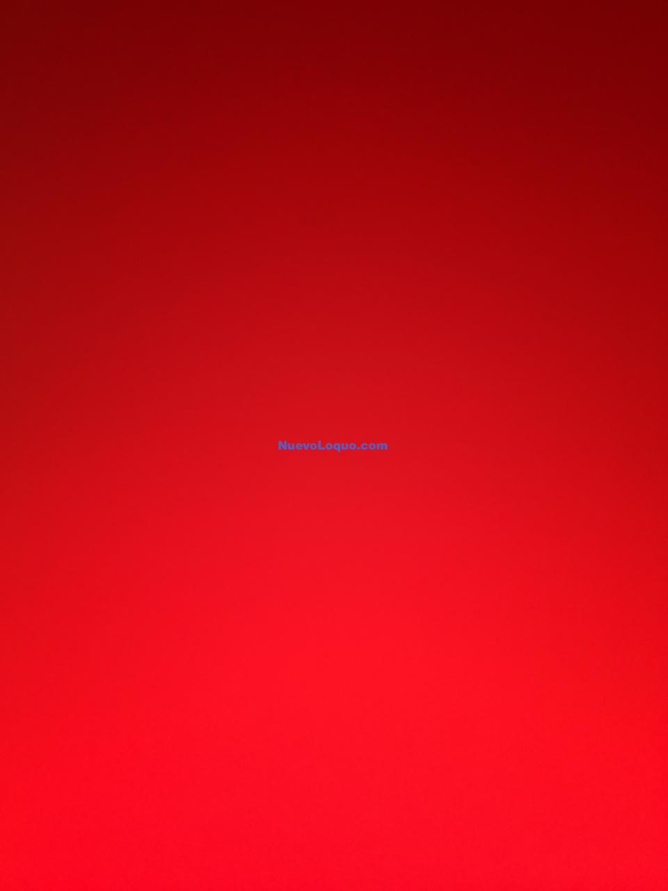 NuevoLoquo1