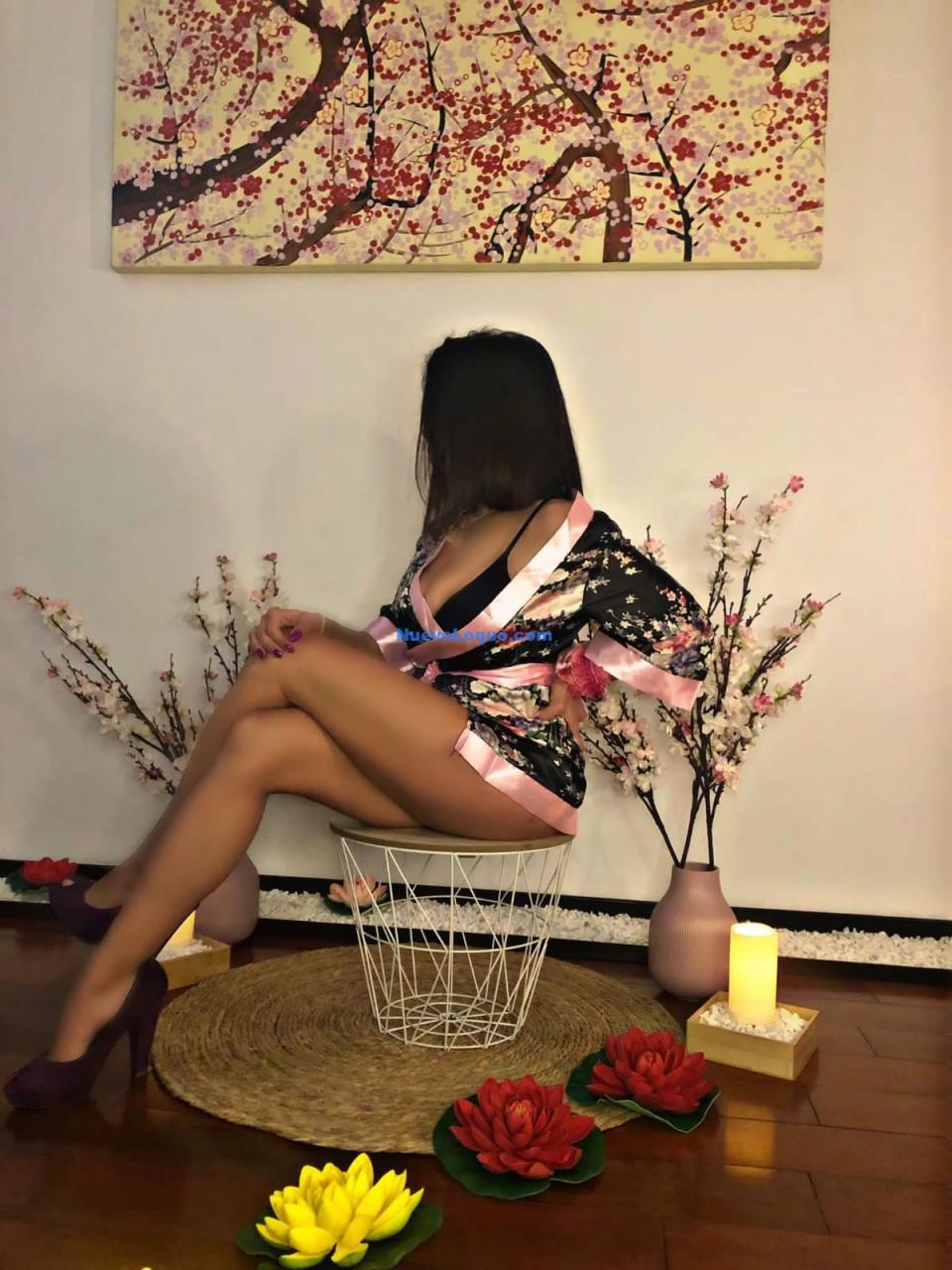 NuevoLoquo2