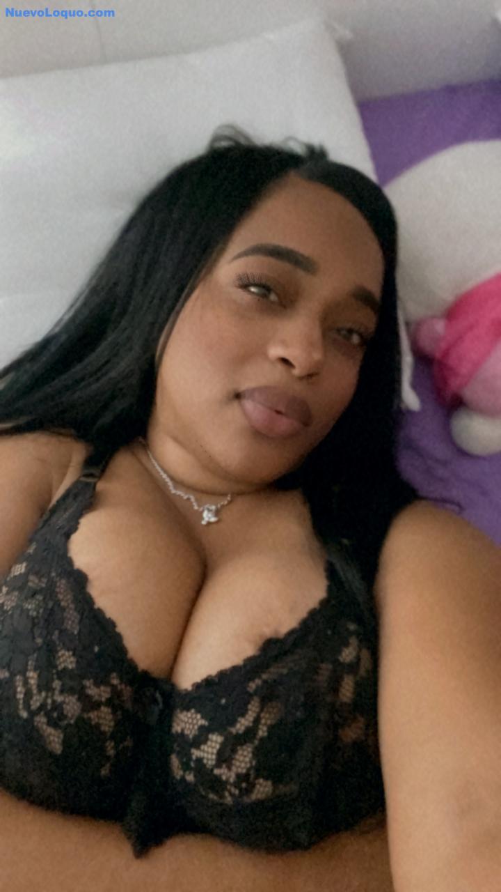 NuevoLoquo3
