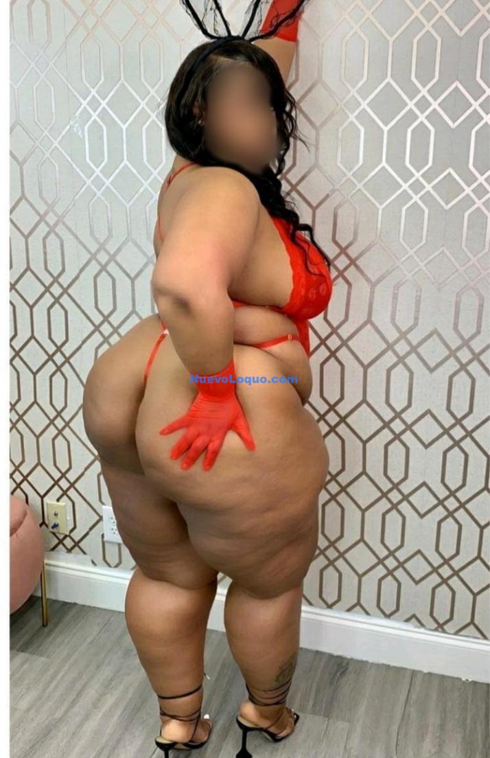 NuevoLoquo2