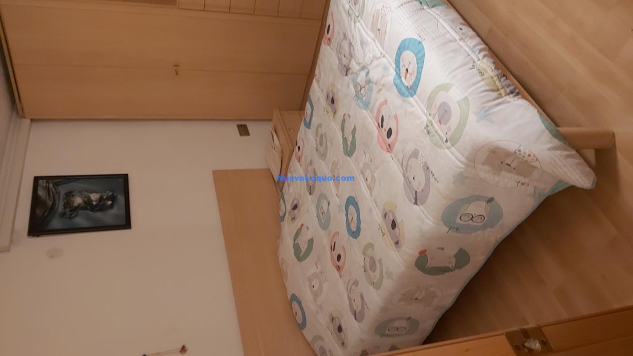 NuevoLoquo2