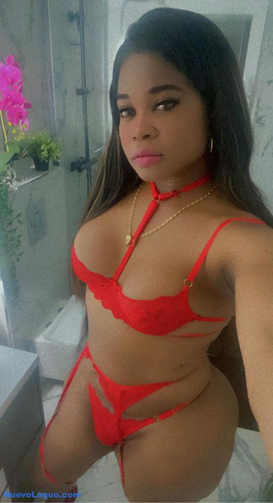 NuevoLoquo3