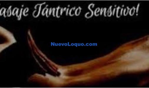 NuevoLoquo2