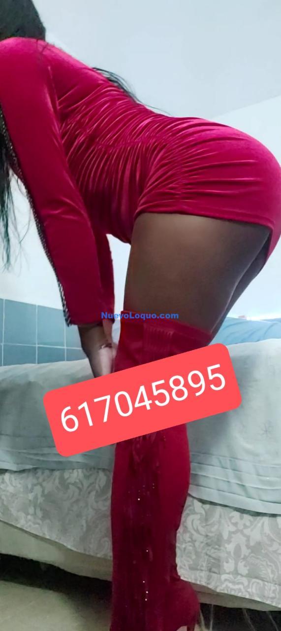 NuevoLoquo2