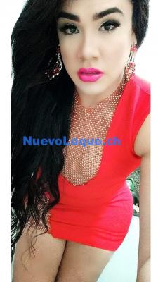 NuevoLoquo3
