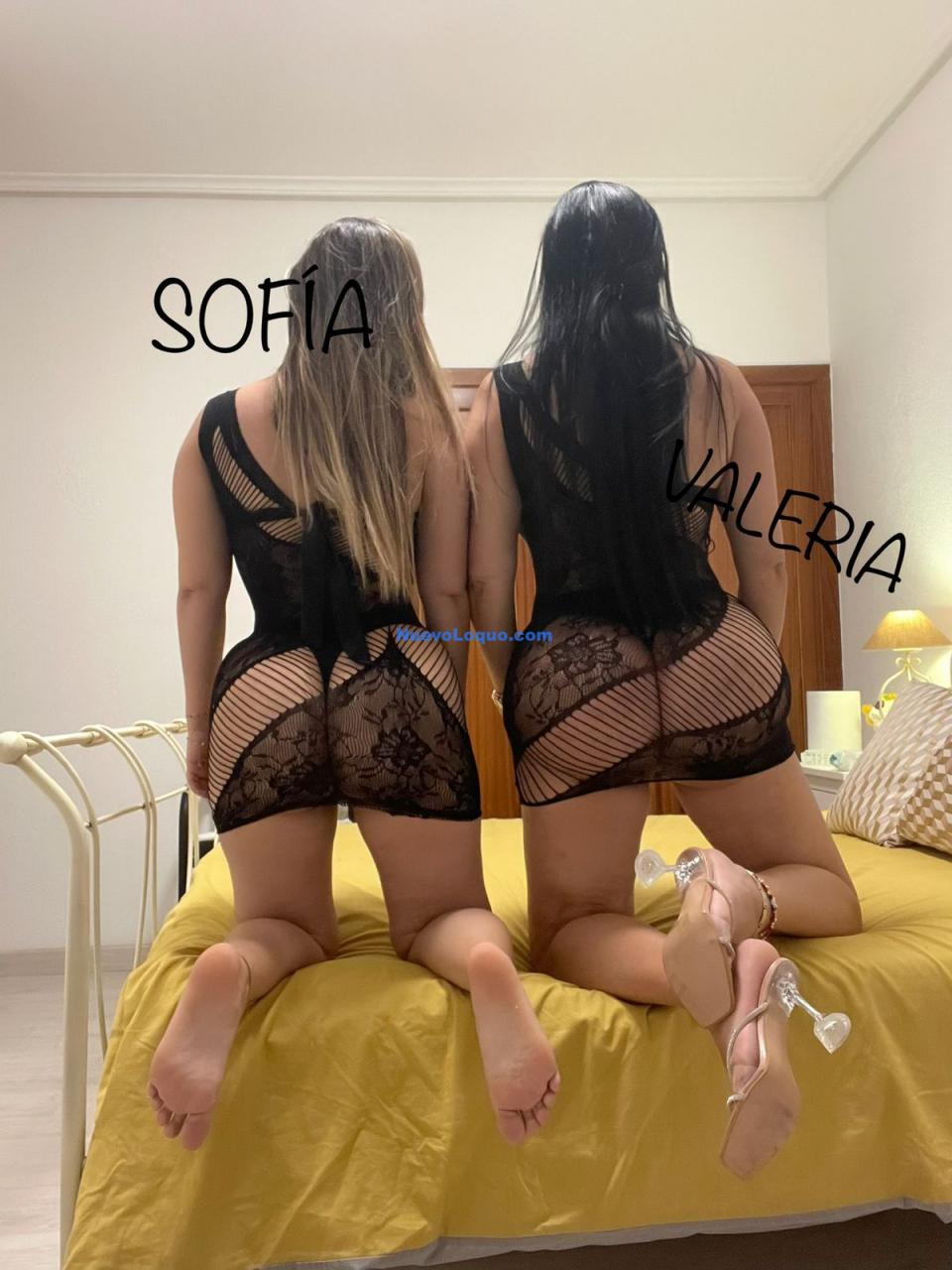 NuevoLoquo1