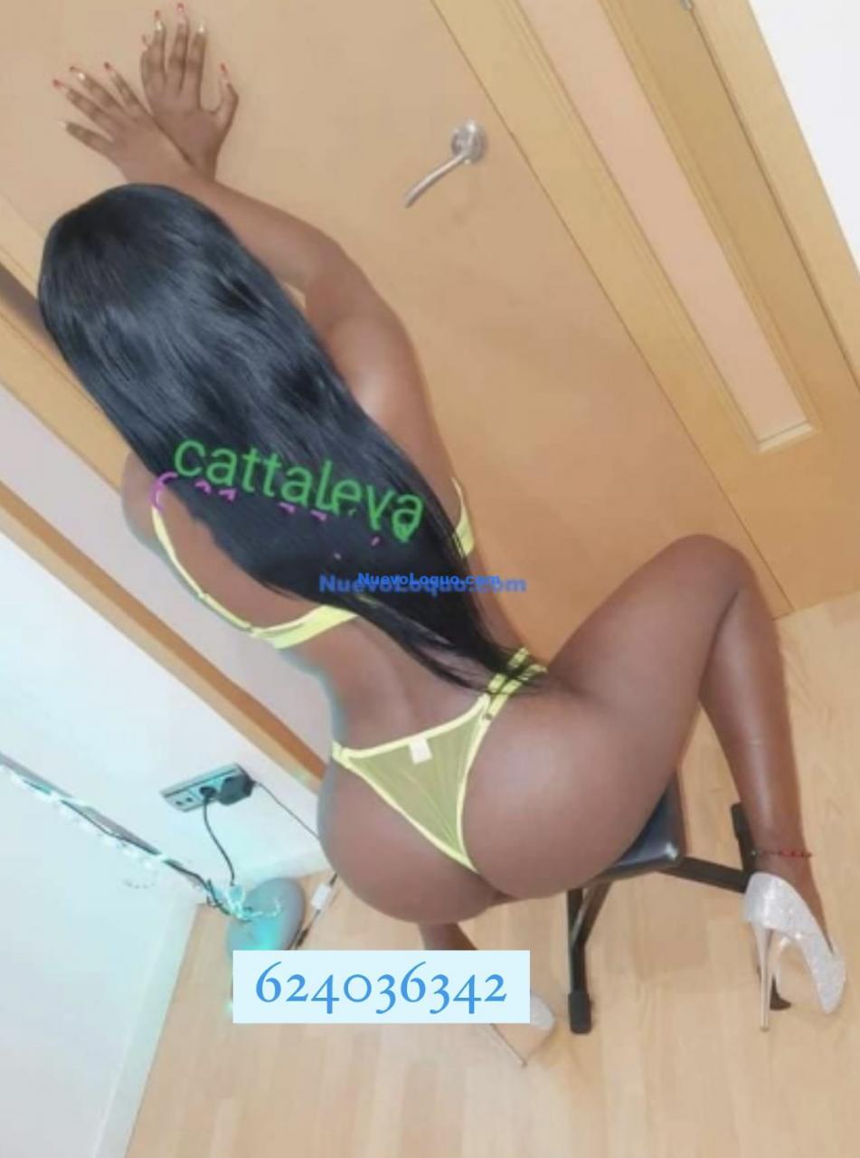 NuevoLoquo1