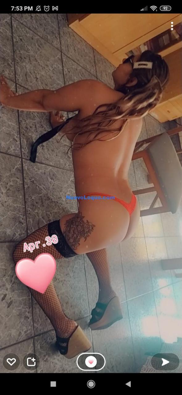 NuevoLoquo3