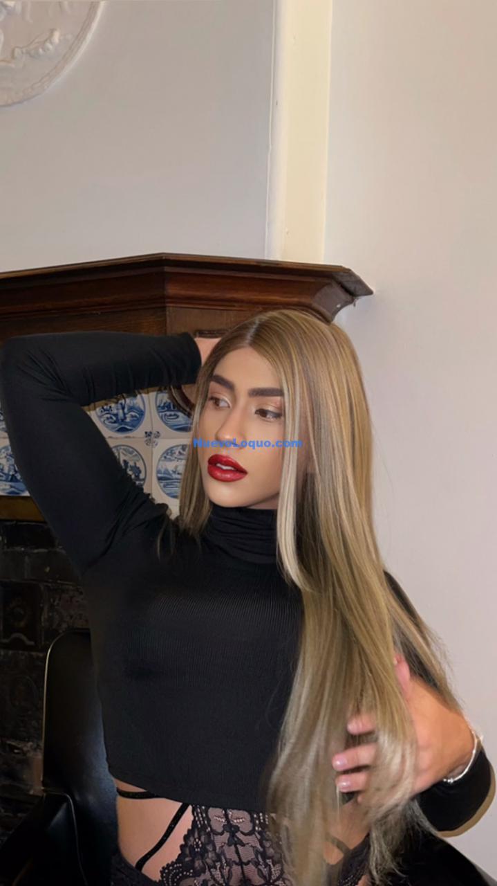 NuevoLoquo1