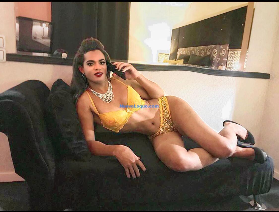 NuevoLoquo4