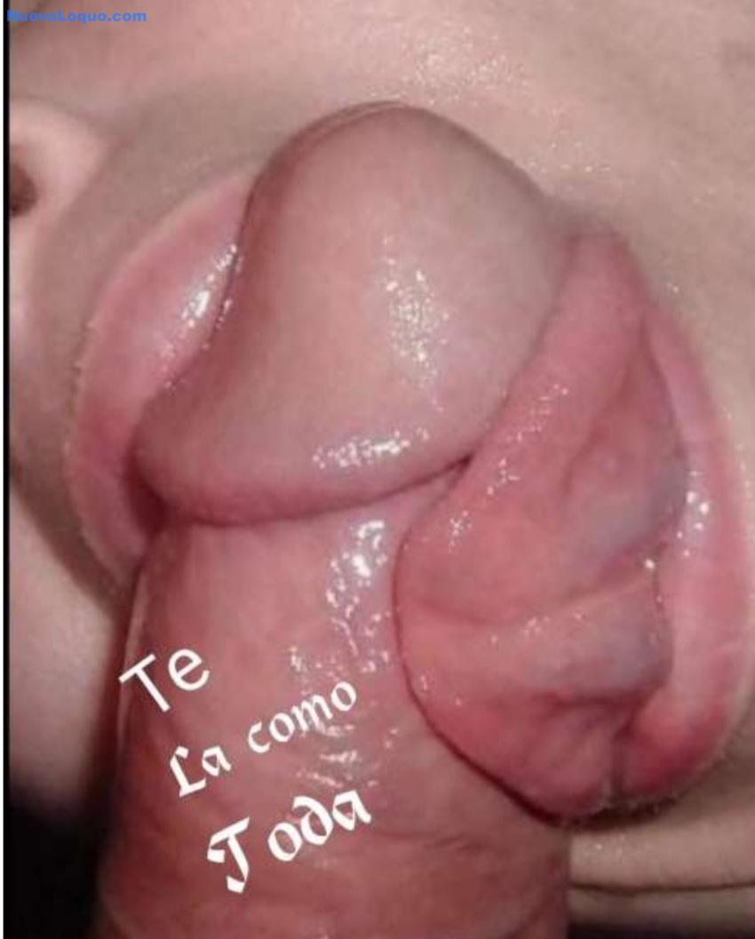 NuevoLoquo2