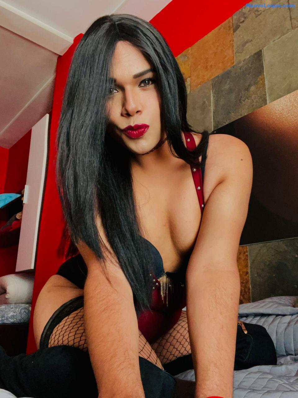 NuevoLoquo4