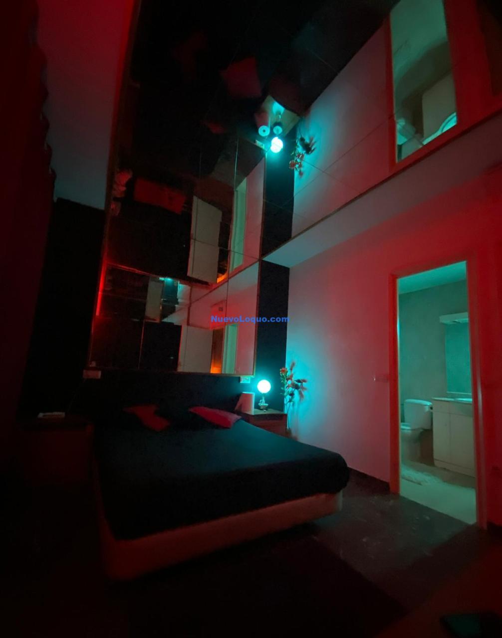 NuevoLoquo3