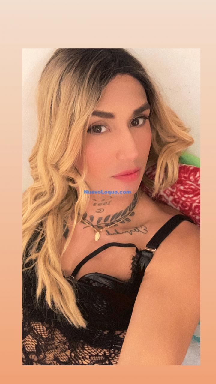 NuevoLoquo3